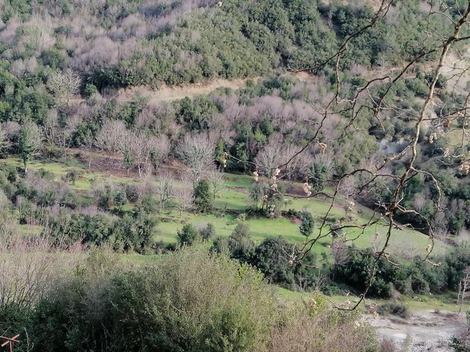 Ktimata Evdoxia Villa Platanoussa Dış mekan fotoğraf