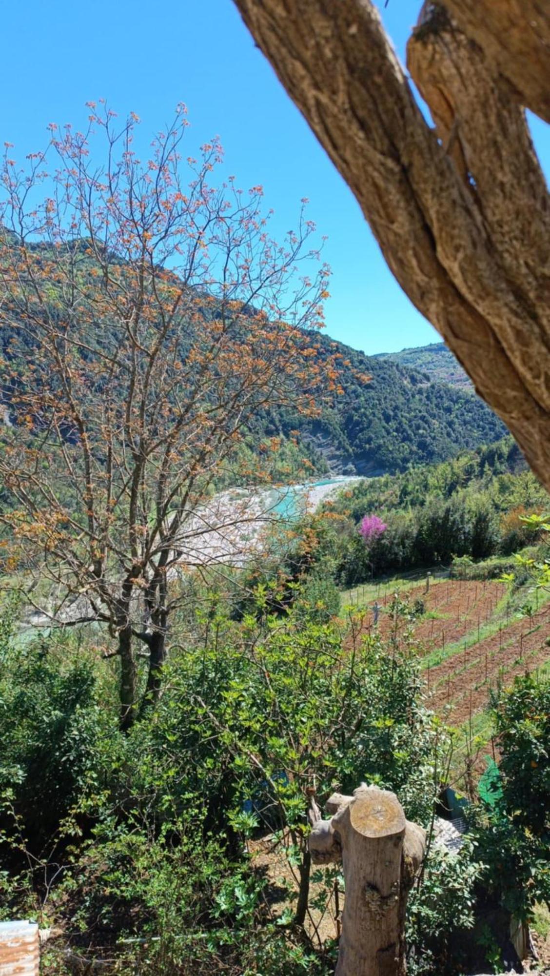Ktimata Evdoxia Villa Platanoussa Dış mekan fotoğraf